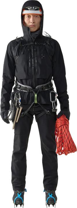 Immagine prodotto Haglöfs Spitz GTX Pro II Jacket (M)