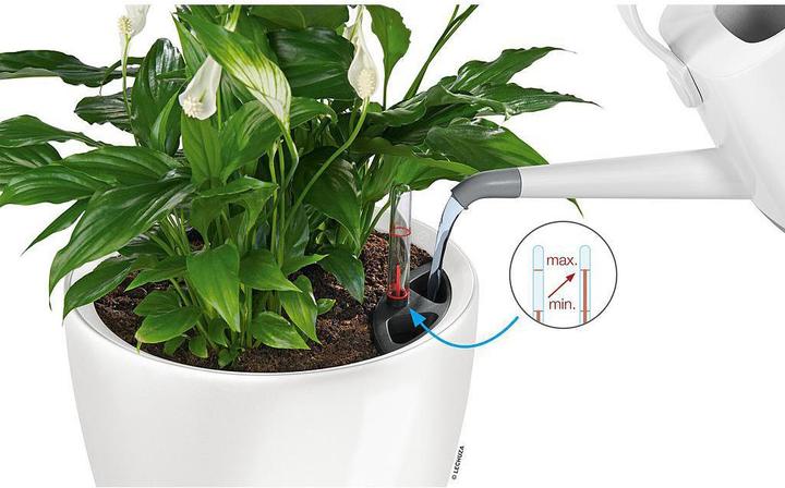 Actual product image Lechuza Classico (28.50 cm)
