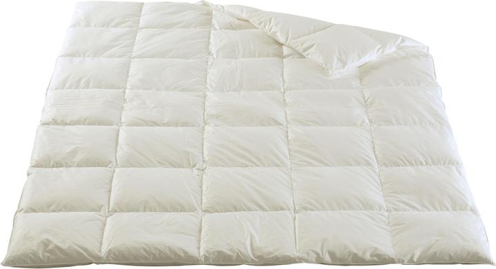 Image du produit DOR linge (665 g, 160 x 210 cm)