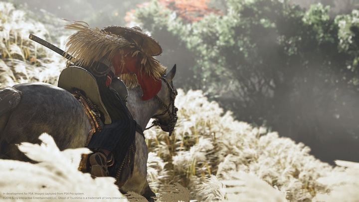 Produktbild Sony Ghost of Tsushima (PS4, Multilingual)