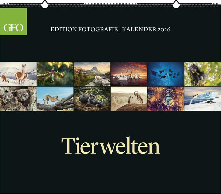 Produktbild Neumann GEO Edition: Tierwelten 2026 - Wand-Kalender - Tier-Kalender - 70x60 (70 x 60 cm)