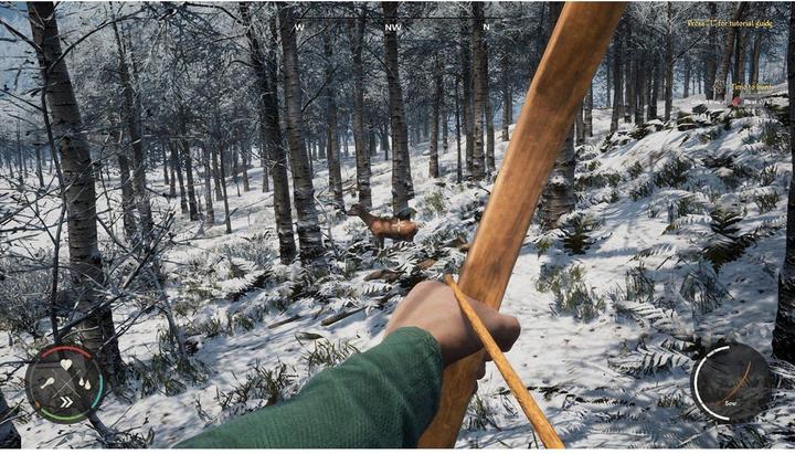 Actual product image Merge Games Medieval Dynasty (PS5, EN)