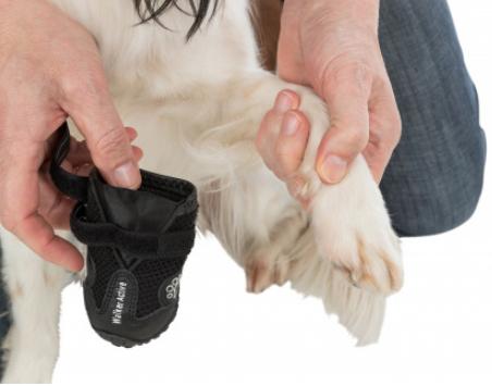 Immagine prodotto Trixie Deambulatore Paw Protector Active Gr.L (L, Scarpe per cani)