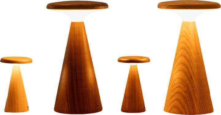 Produktbild Gingko Sylva Table Lamp