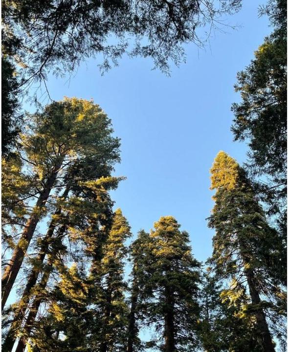 Actual product image Acca Kappa SFARIA EDP 100ml (Eau de parfum, 100 ml)