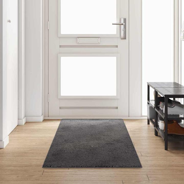 Produktbild vidaXL Läufer (300 x 80 cm)