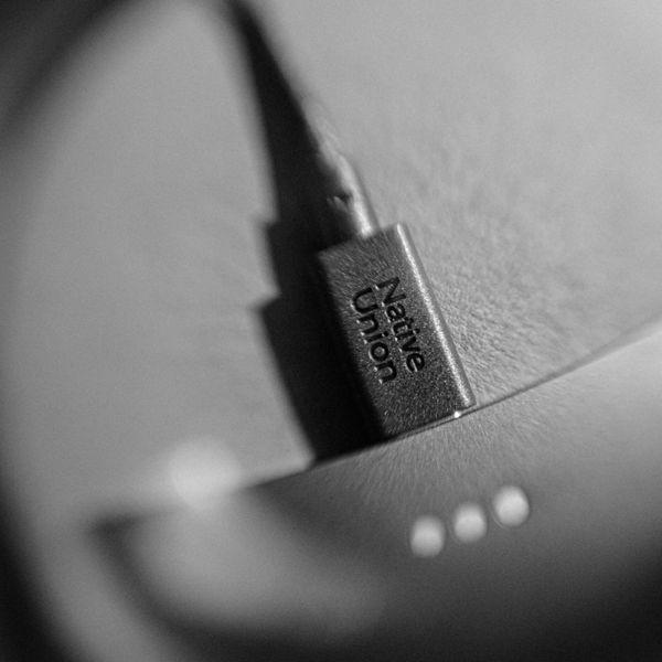 Image du produit Native Union Belt Cable XL (3 m, USB 2.0, 100 W)
