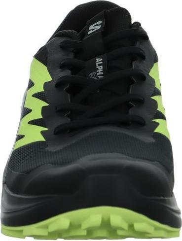 Produktbild Salomon Alphaglide GTX (46)
