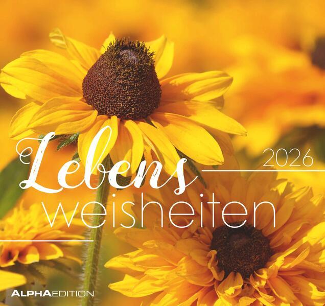 Image du produit Alpha Edition Lebensweisheiten - Postkartenkalender mit 53 Motiven und Zitaten (16 x 17 cm)