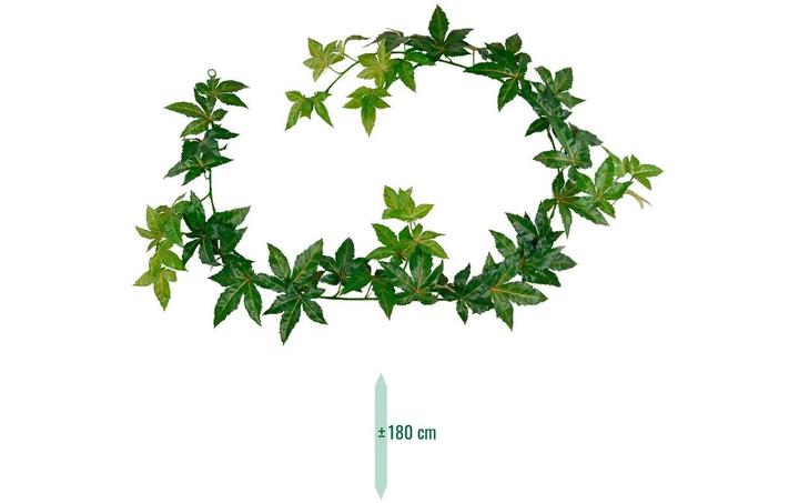 Image du produit Botanic-Haus Kunstpflanze Ahorn Girlande Grün, 180 cm, Produkttyp (180 cm)