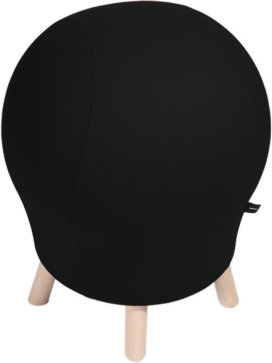 Actual product image Topstar Sitness 5 Alpine