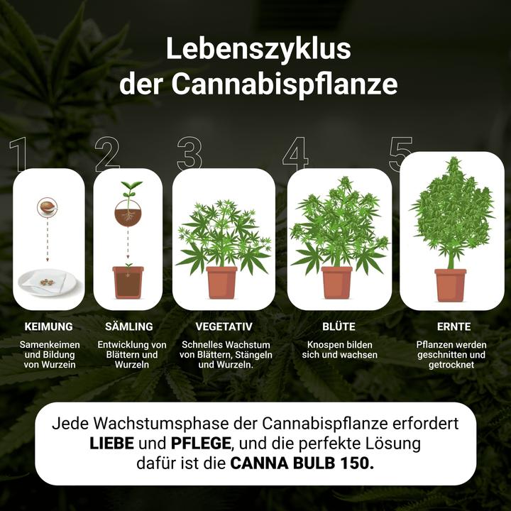 Produktbild Parus by Venso CANNA BULB 150, LED Pflanzenlampe, 150 Watt Pflanzenlicht mit Vollspektrum LED + Infr (LED, 245 V)