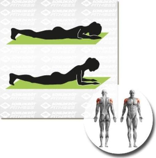 Produktbild Schildkröt Fitnessmatte (15 mm)