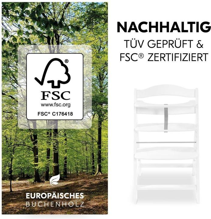 Actual product image Hauck Highchair Alpha Plus White in economy set - incl. seat cushion Highchairs (Highchair)