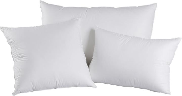 Immagine prodotto DOR Lavatera (65 x 65 cm)