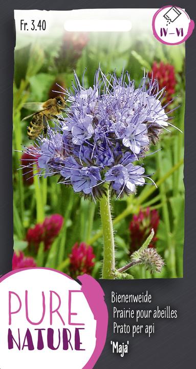 Produktbild Do it + Garden Gründüngung Bienenweide Maja 20g (Blumensamen)