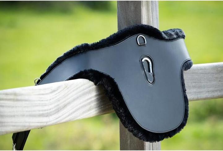 Produktbild HFI Master Sattelgurt