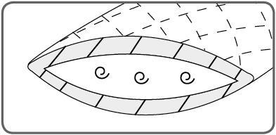 Immagine prodotto DOR Tiarella (50 x 90 cm)
