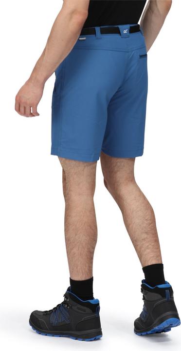 Actual product image Regatta Mens Xert III Stretch Shorts (44)