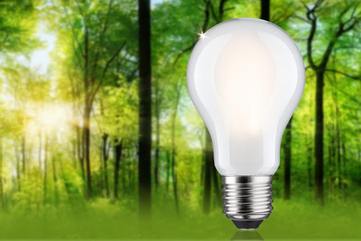 Produktbild Paulmann AGL Eco-Line (E27, 4.30 W, 806 lm, 1 x, B)