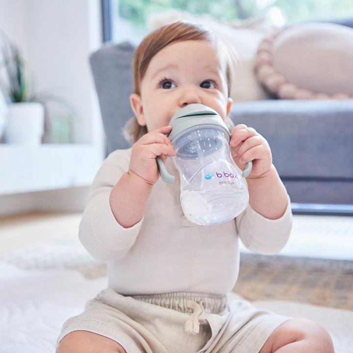 Actual product image B.Box Sippy Cup