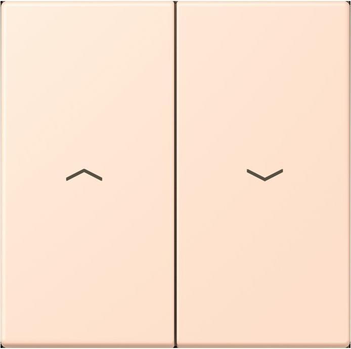 rose pale (32091)