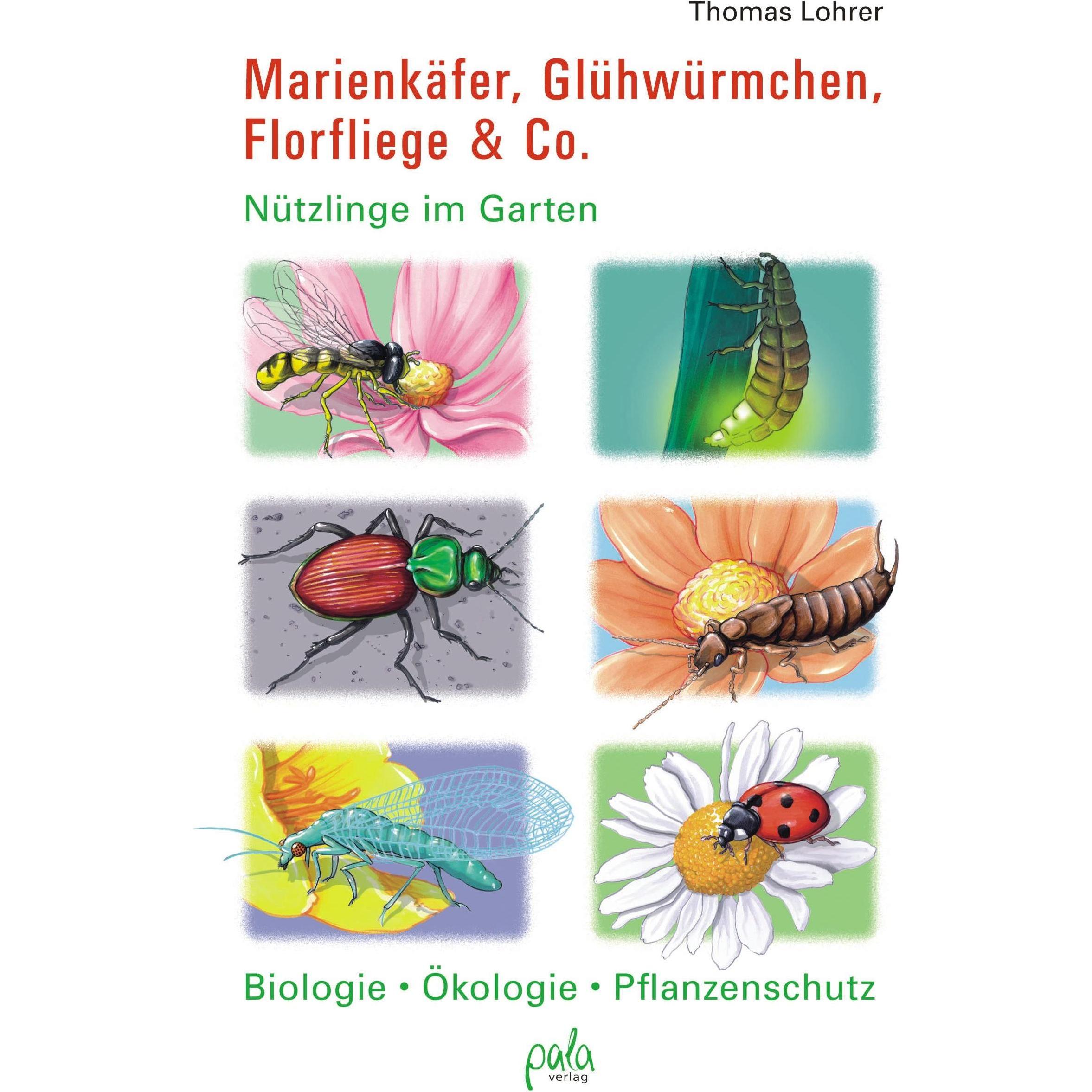 Marienkäfer, Glühwürmchen, Florfliege & Co, Fachbücher von Thomas Lohrer