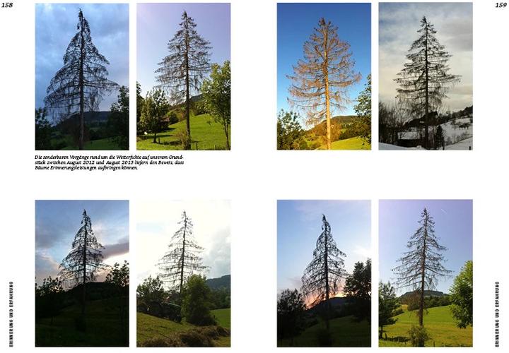 Produktbild Strategien der Natur (Deutsch, Erwin Thoma, 2019)