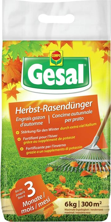 Gesal Herbst- Rasendünger (6 kg)