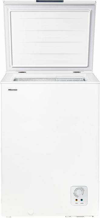 Hisense FT125D4AWE (95 l)