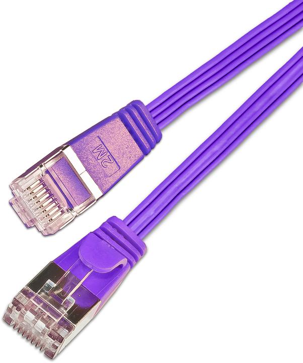 Produktbild Lightwin Netzwerkkabel (STP, CAT6, 1 m)