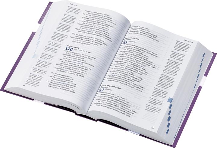 Actual product image BasisBibel. Die Kompakte. Edition 2025 (German, 2024)