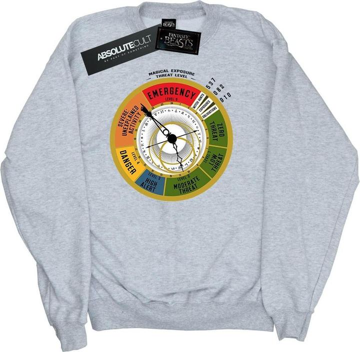 Produktbild Fantastic Beasts Threat Level Sweatshirt Jungen (152, 158)