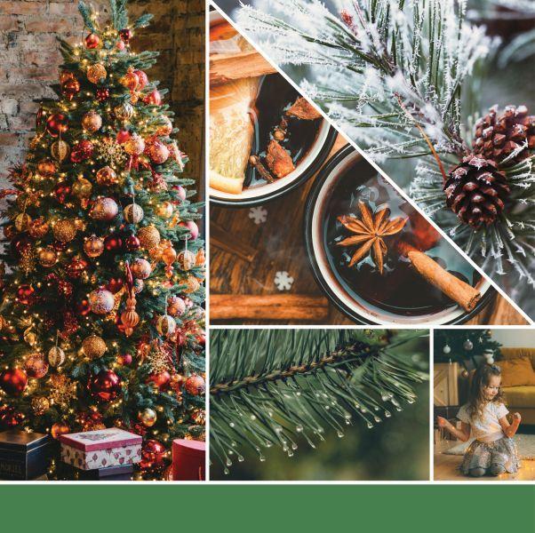 Image du produit Yankee Candle Sapin de Noël Scintillant (37 g)