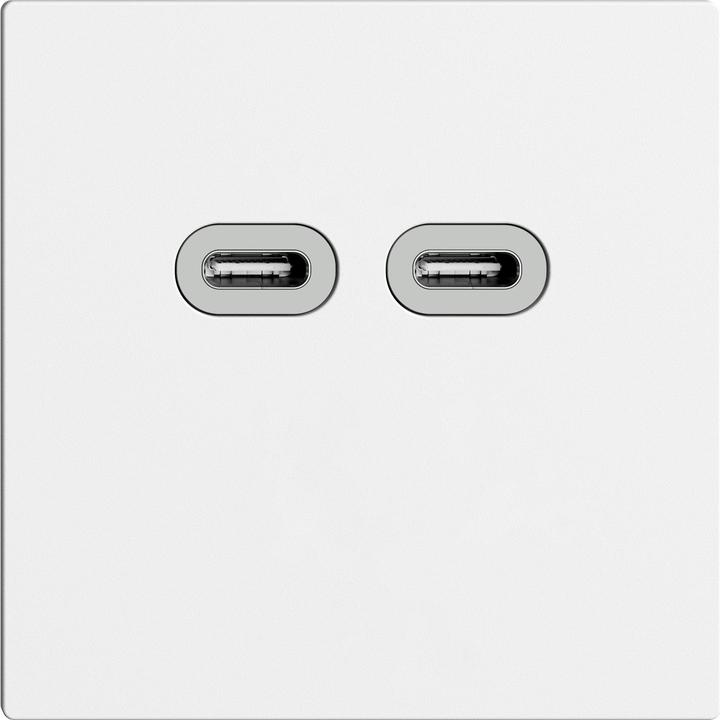 Immagine prodotto Feller Presa di ricarica USB