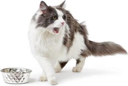 Produktbild Hunter Napf Namy für Hunde und Katzen XXL (410 cl)