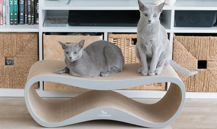 Produktbild Mykotty LUI Grey (Braun, Weiss)