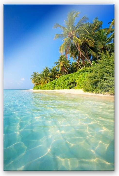 Immagine prodotto Trenddeko Le Maldive (100 x 150 cm)