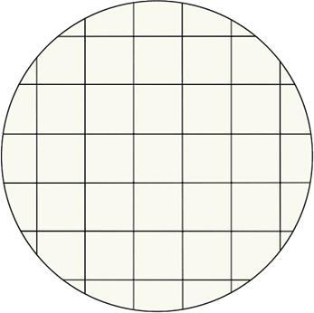 Produktbild Leitz WOW - Notizbuch (A4, Kariert, Harter Einband)