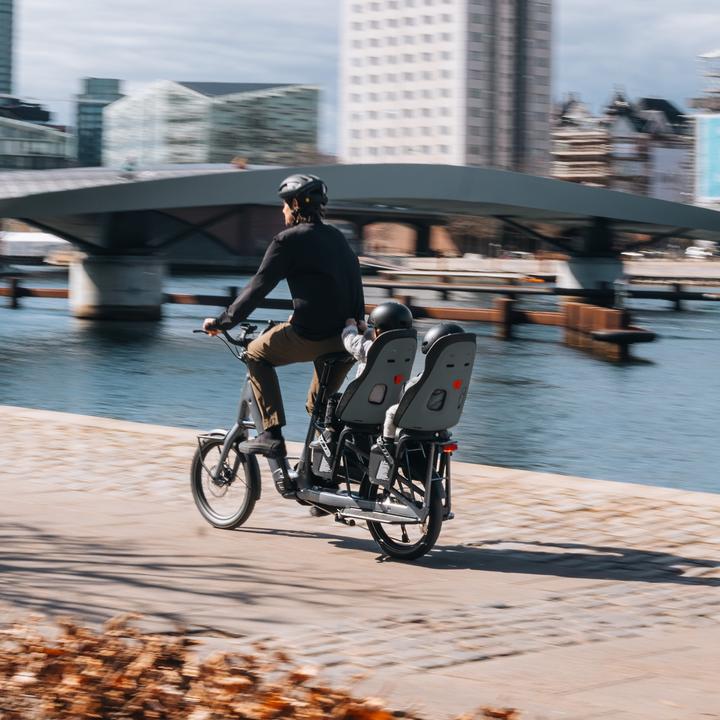 Actual product image Thule Yepp Nexxt 2 maxi (Luggage carrier (rear))