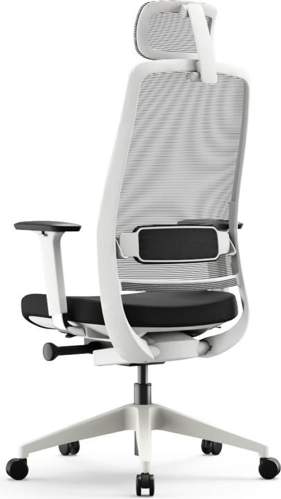 Produktbild Yaasa Chair Expert