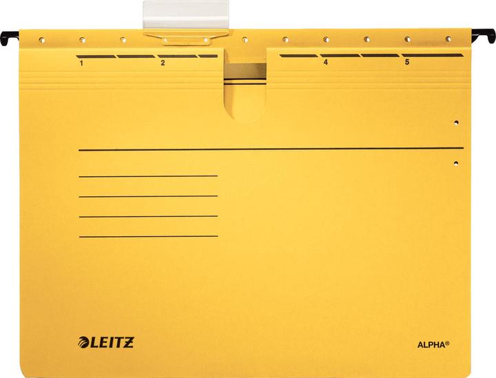 Leitz Hängehefter Alpha (A4, 1 x)