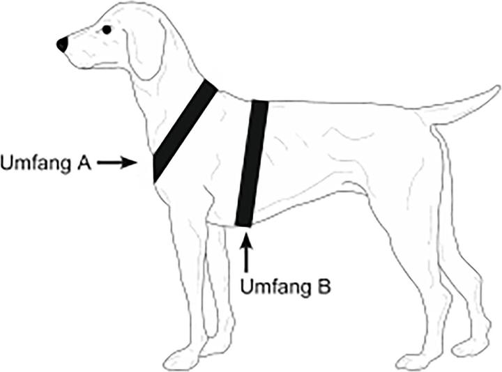Produktbild Niggeloh Hundeführgeschirr Follow (M, Hund, Allgemein)