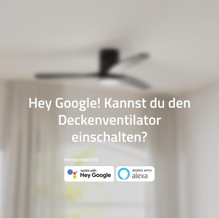 Produktbild Hombli Deckenventilator mit Licht (43 dB)