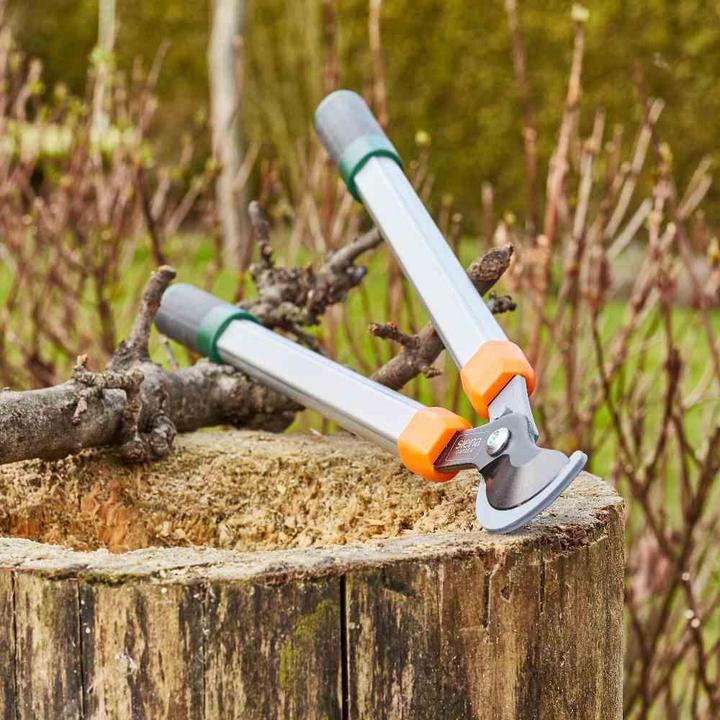 Produktbild Siena Garden Baumschere