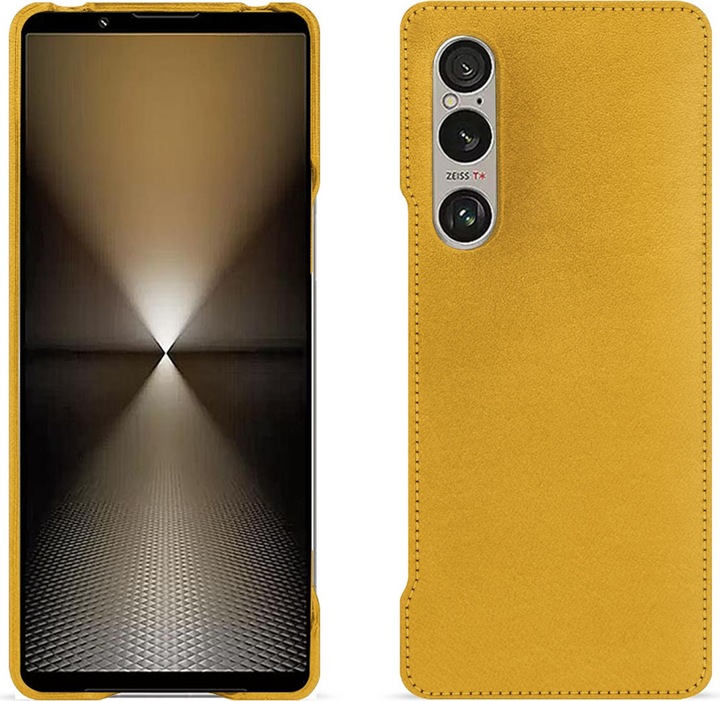 Jaune soulèu ( Pantone #F3B934 )