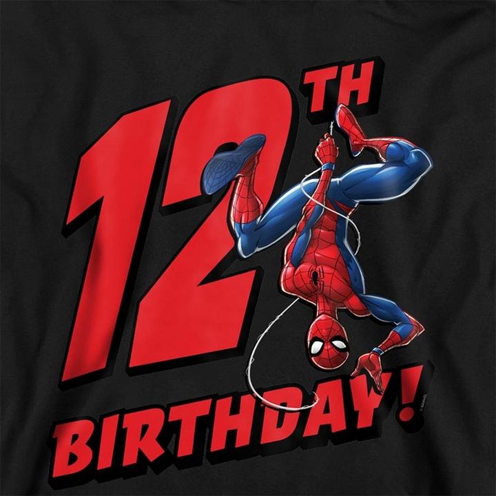 Produktbild Spiderman Kapuzenpullover Zum Überziehen 12er Geburstag (140)