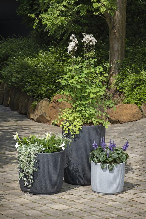 Produktbild Scheurich Linetto 47 (46.60 x 42.60 cm)