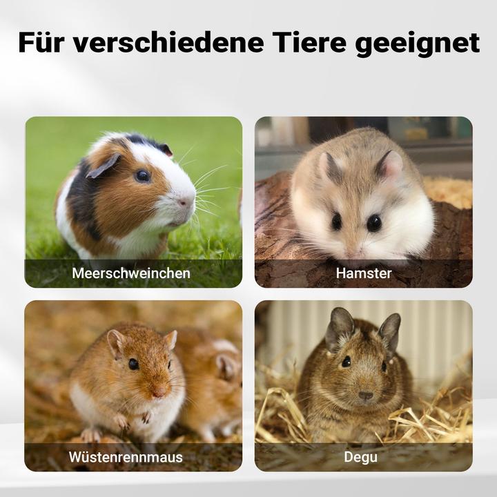 Actual product image Wiltec Rodent cage