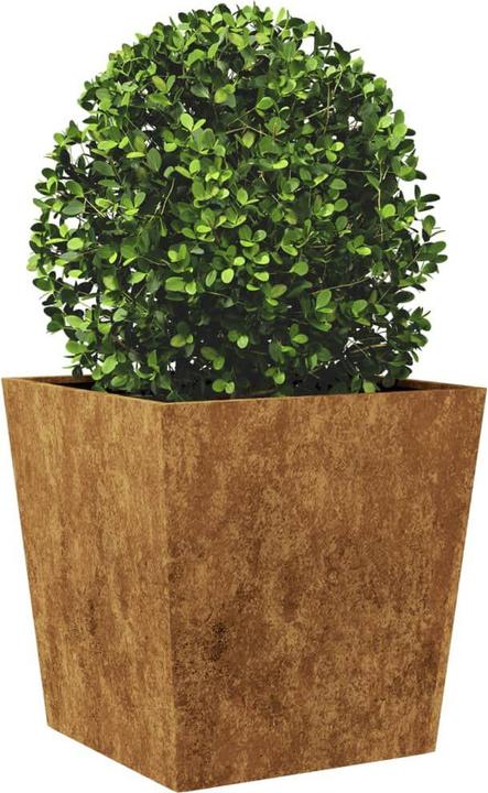 Image du produit vidaXL Gartenpflanzgefäss